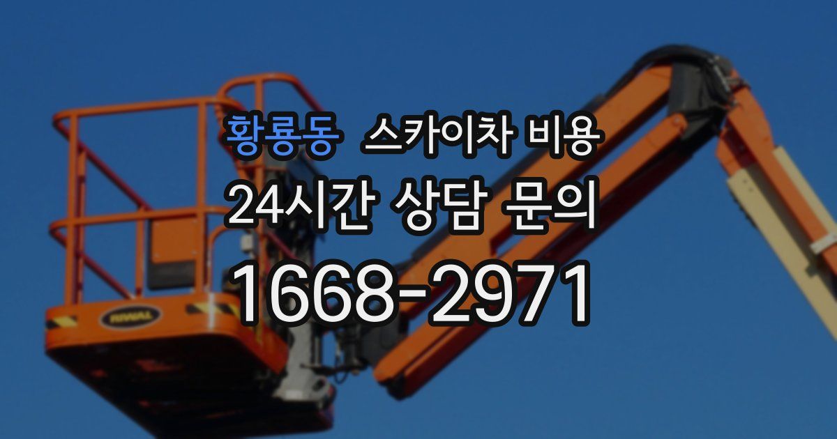 황룡동 스카이차 비용