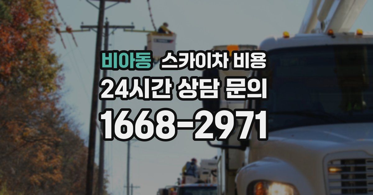 비아동 스카이차 비용