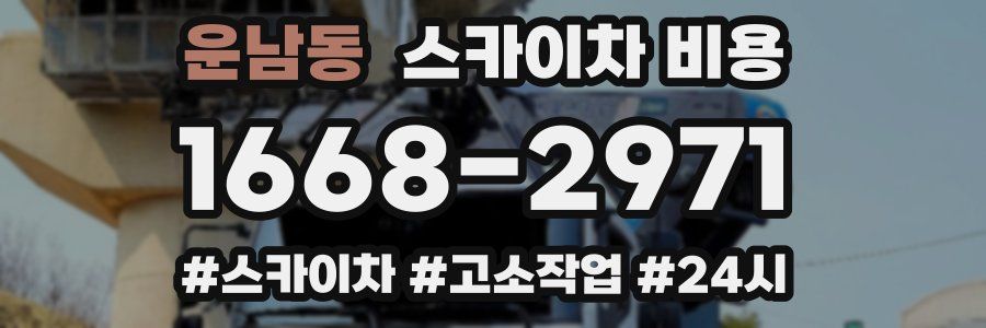 운남동 스카이차 비용