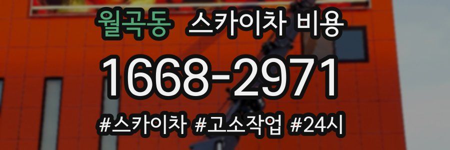 월곡동 스카이차 비용