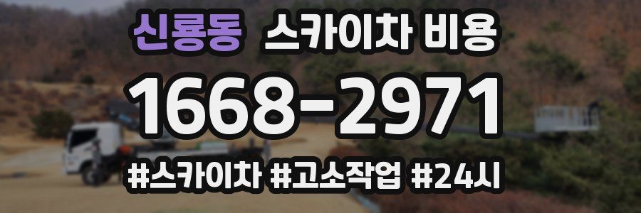 신룡동 스카이차 비용