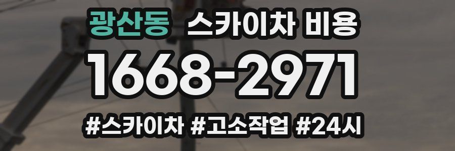 광산동 스카이차 비용