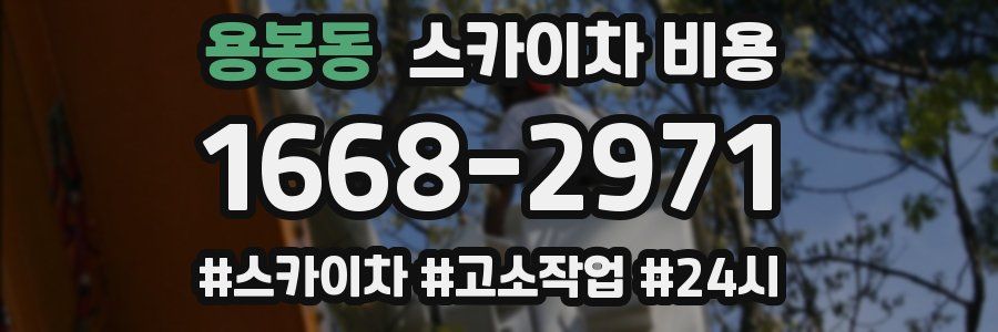 용봉동 스카이차 비용