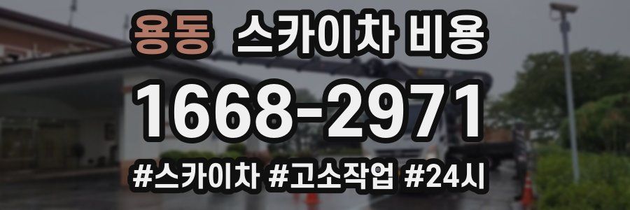 용동 스카이차 비용