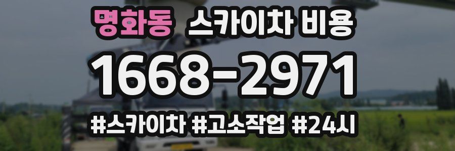 명화동 스카이차 비용