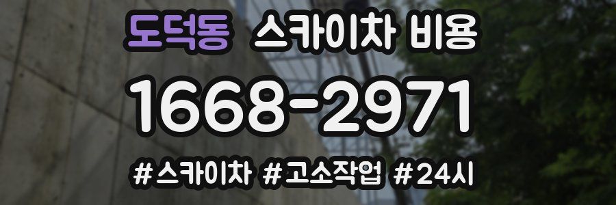 도덕동 스카이차 비용