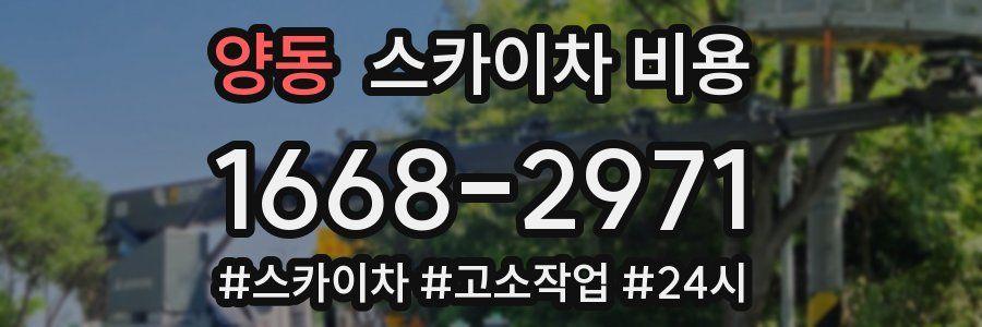 양동 스카이차 비용