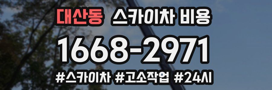 대산동 스카이차 비용