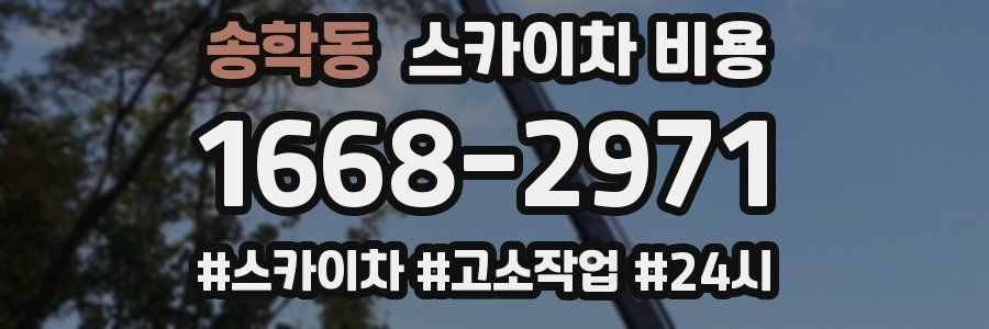 송학동 스카이차 비용