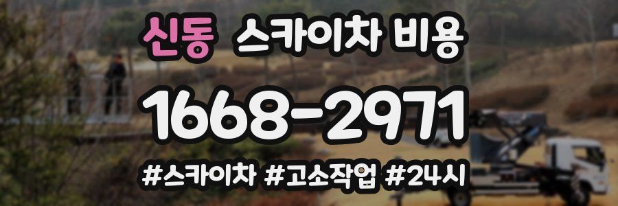 신동 스카이차 비용