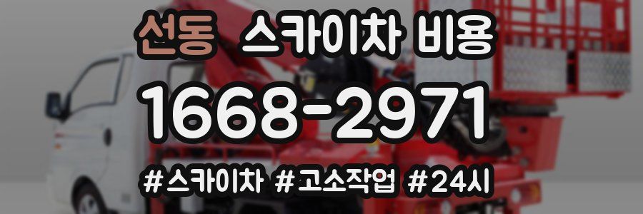 선동 스카이차 비용