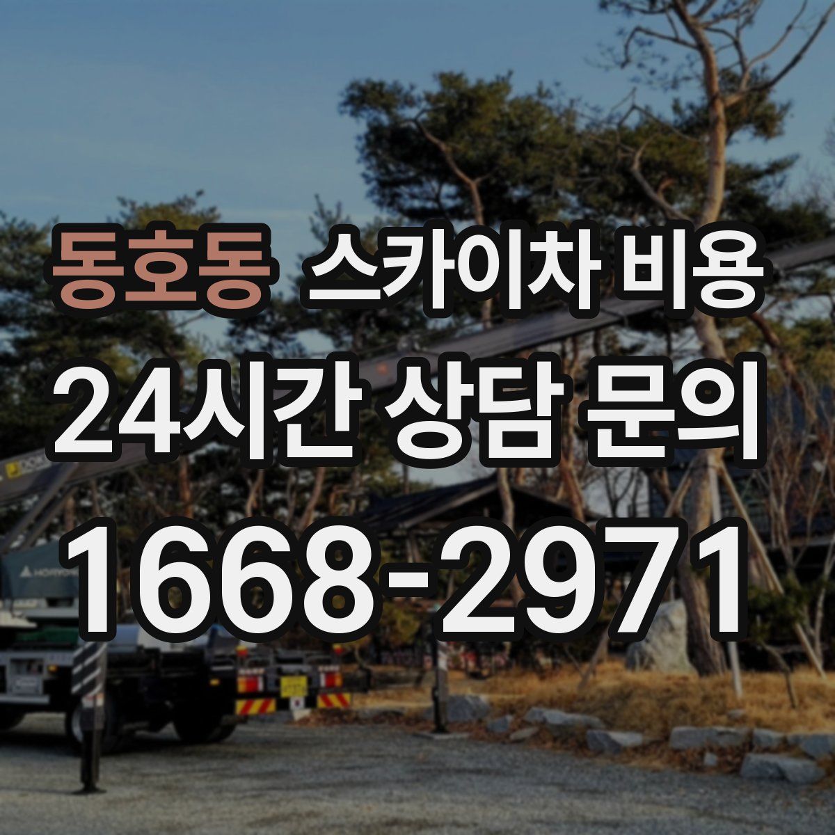 동호동 스카이차 비용