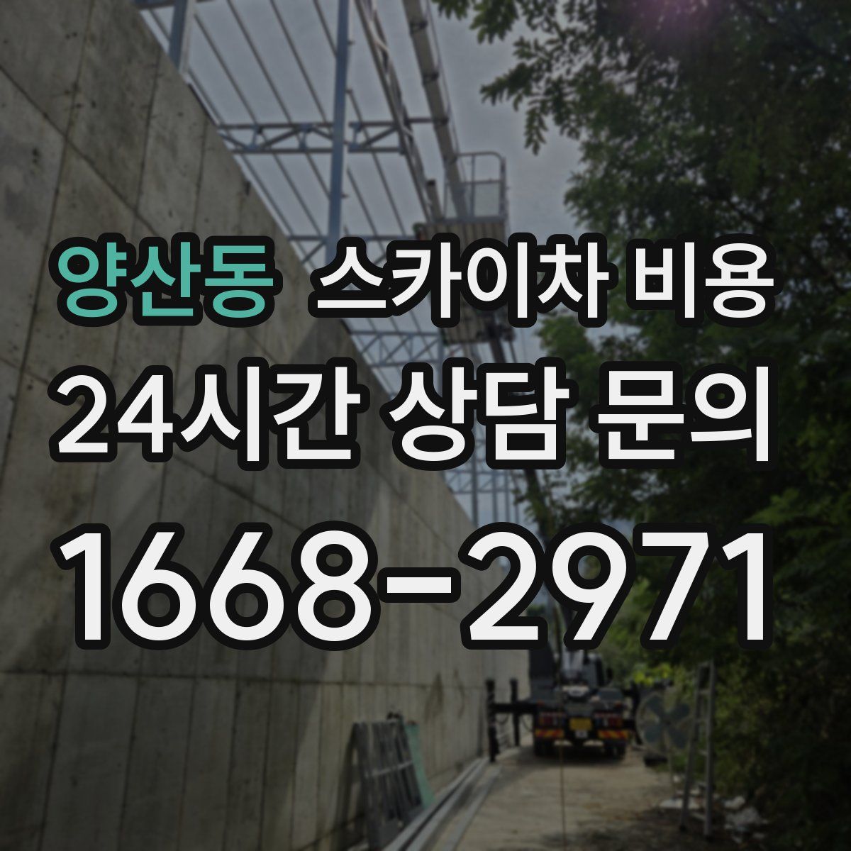 양산동 스카이차 비용