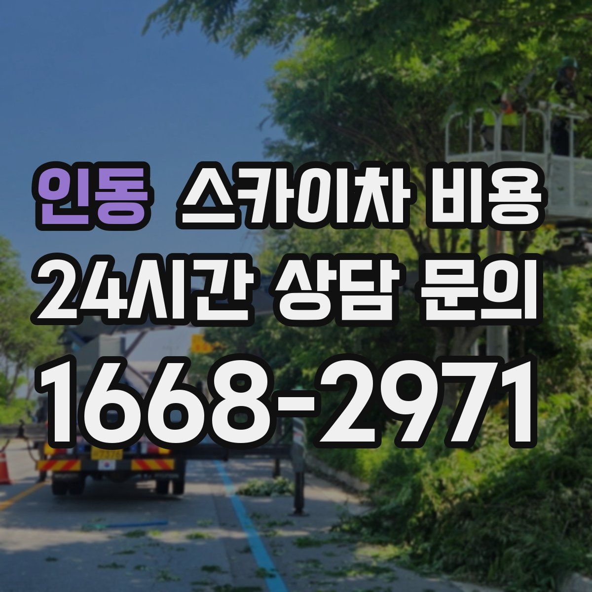 인동 스카이차 비용