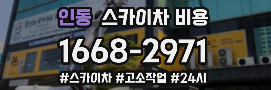 인동 스카이차 비용