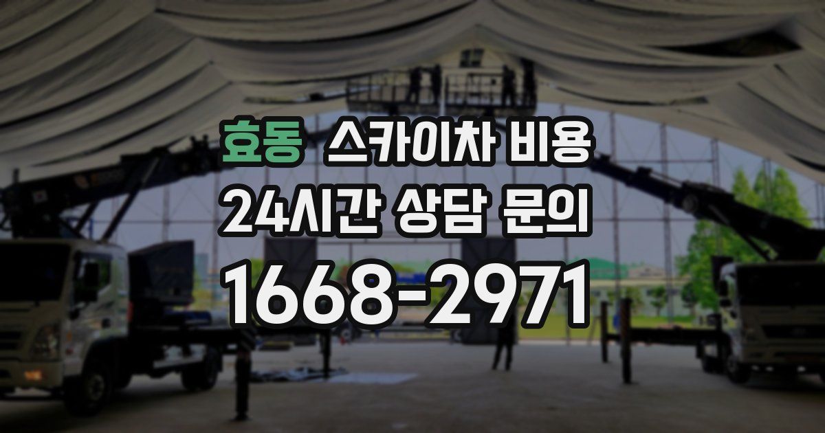 효동 스카이차 비용