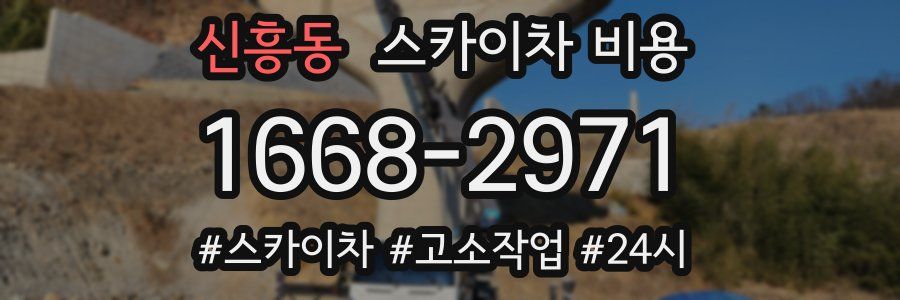 신흥동 스카이차 비용