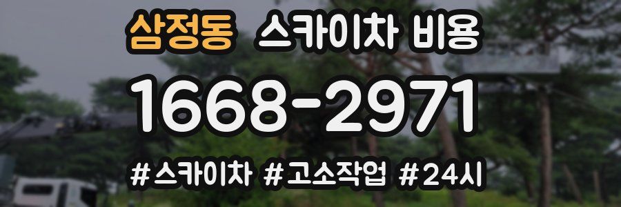 삼정동 스카이차 비용