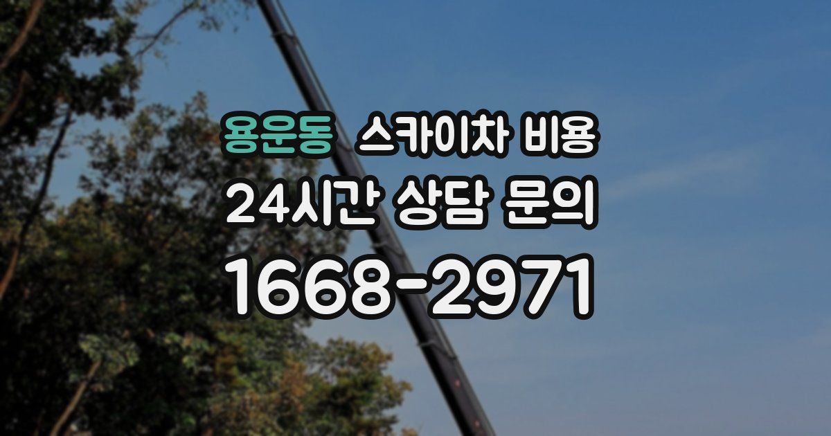 용운동 스카이차 비용