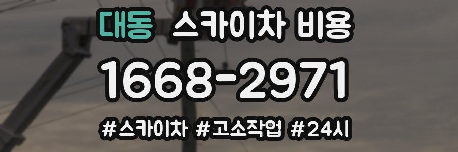 대동 스카이차 비용