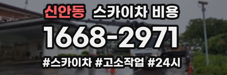 신안동 스카이차 비용