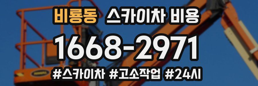 비룡동 스카이차 비용