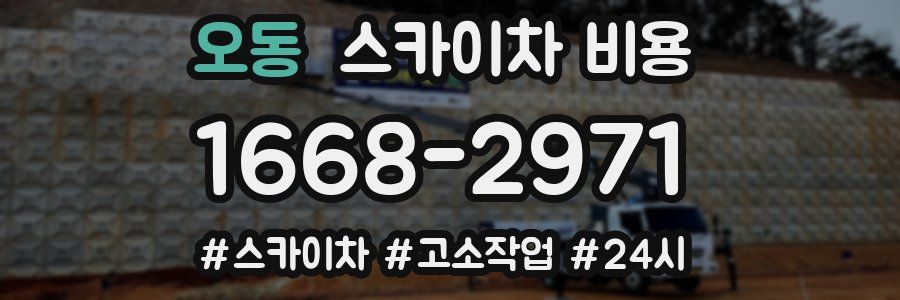 오동 스카이차 비용