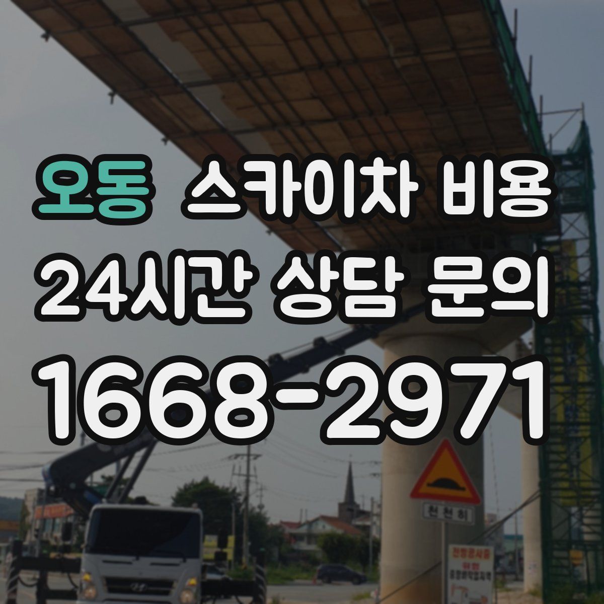 오동 스카이차 비용