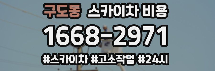 구도동 스카이차 비용