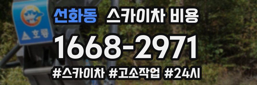 선화동 스카이차 비용