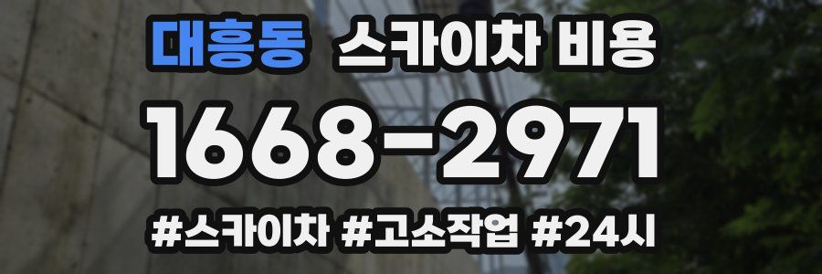 대흥동 스카이차 비용