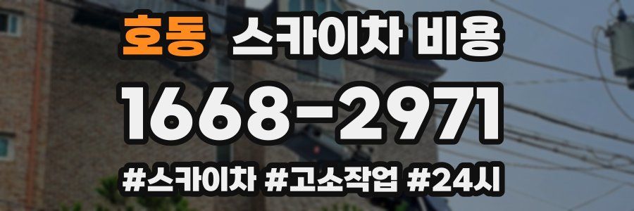 호동 스카이차 비용