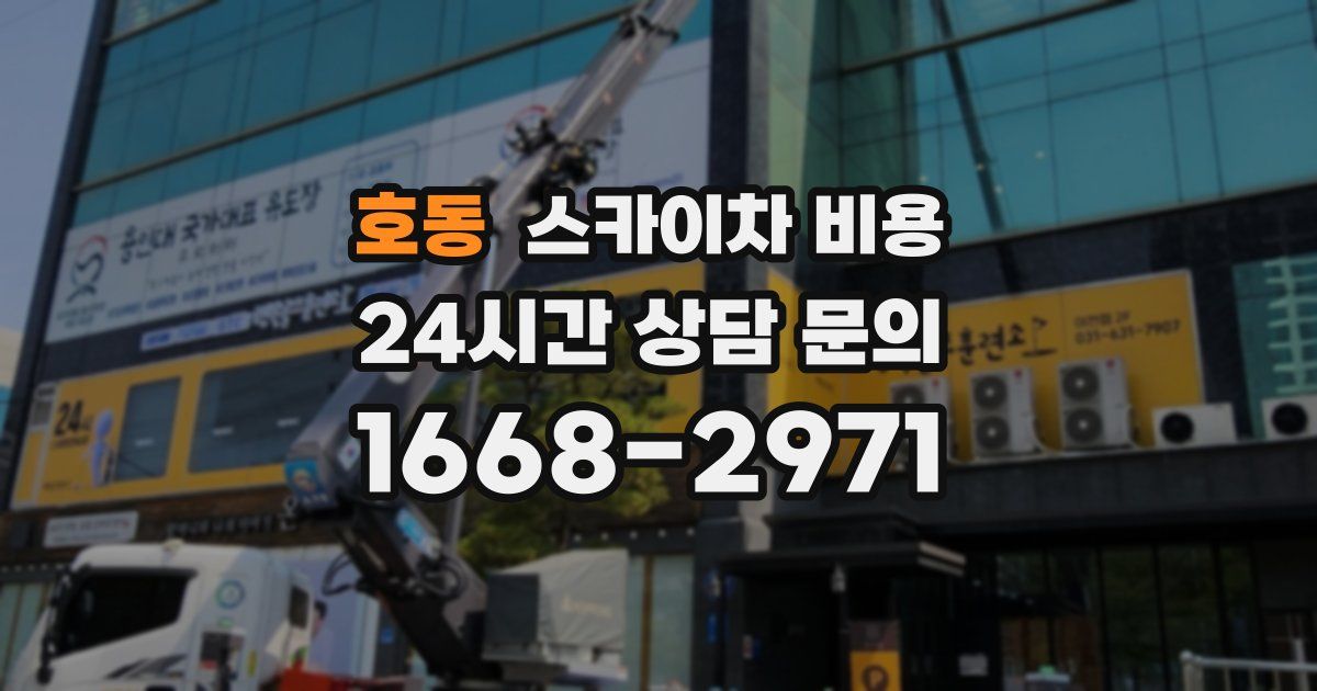 호동 스카이차 비용