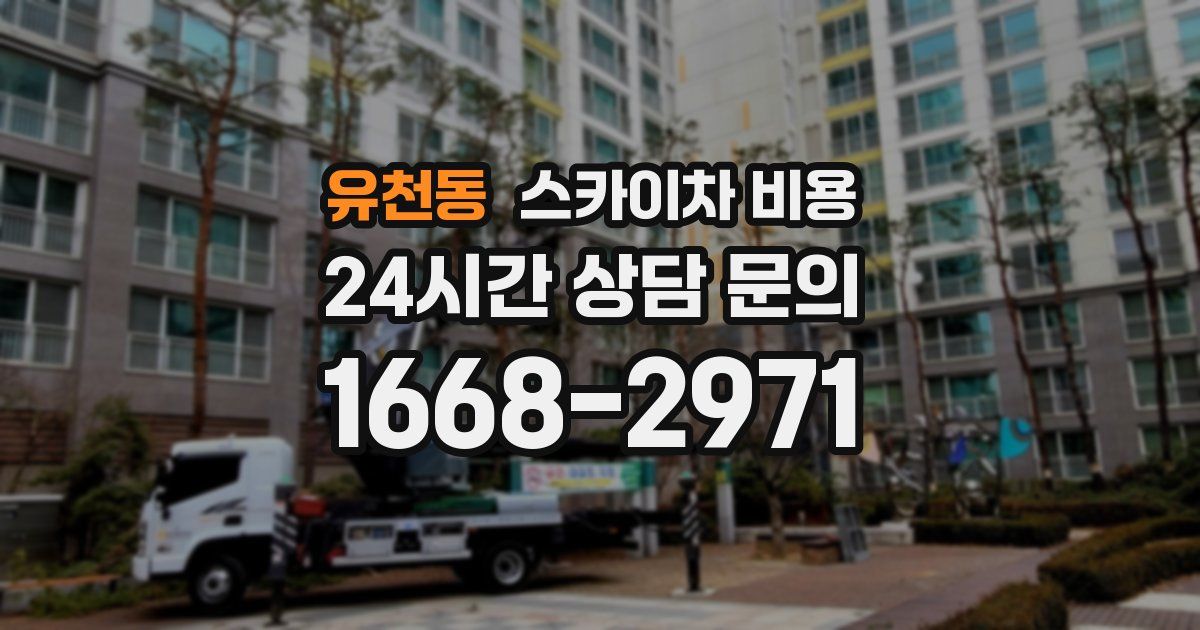 유천동 스카이차 비용