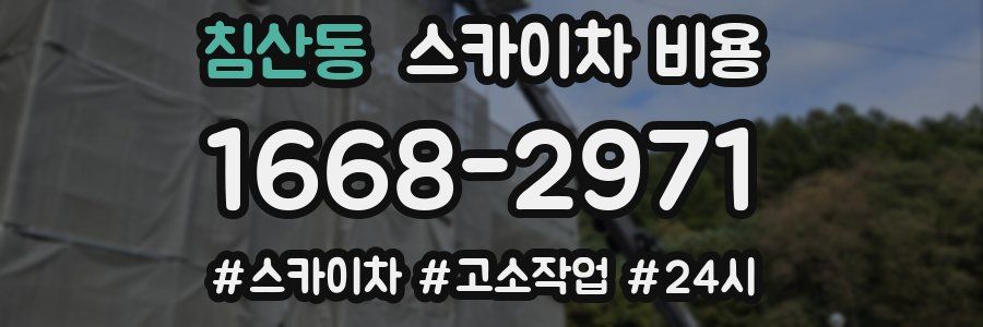 침산동 스카이차 비용