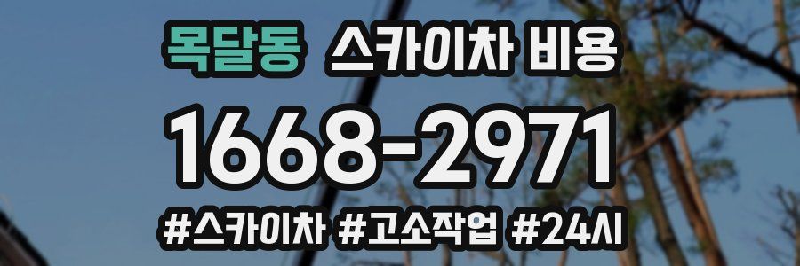 목달동 스카이차 비용