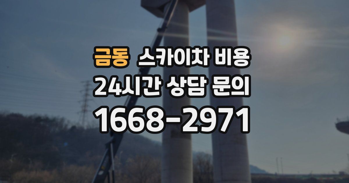 금동 스카이차 비용