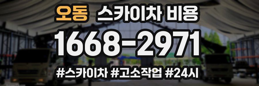 오동 스카이차 비용