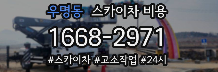 우명동 스카이차 비용