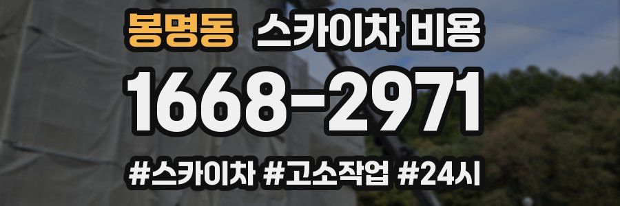 봉명동 스카이차 비용