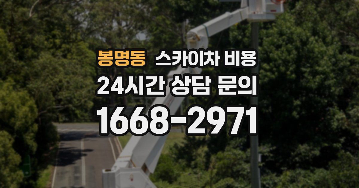 봉명동 스카이차 비용