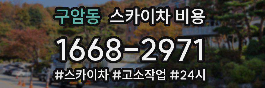 구암동 스카이차 비용