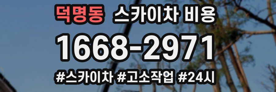 덕명동 스카이차 비용