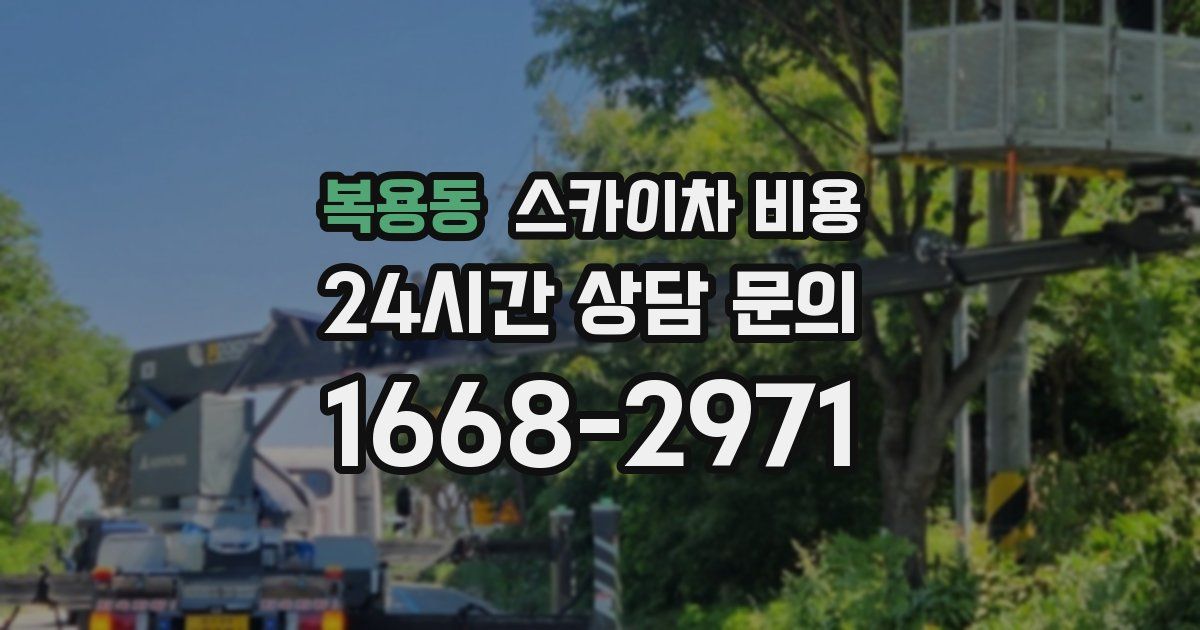 복용동 스카이차 비용