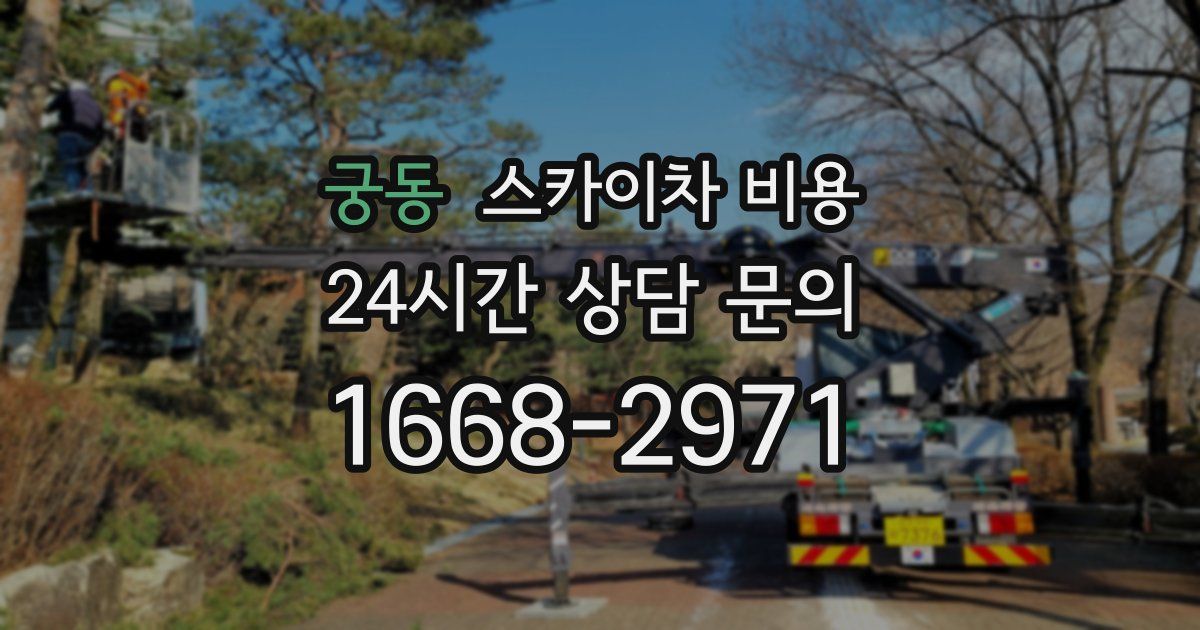 궁동 스카이차 비용