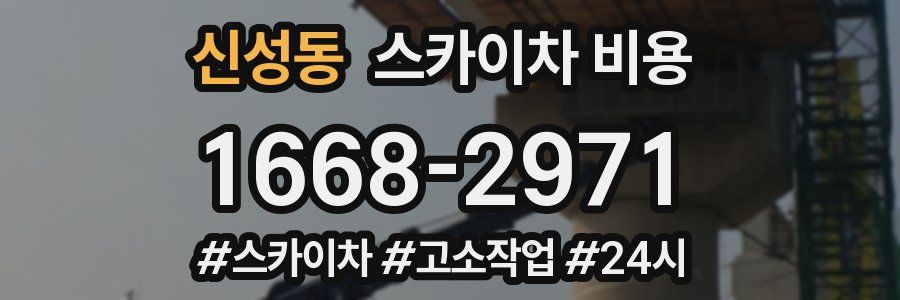 신성동 스카이차 비용