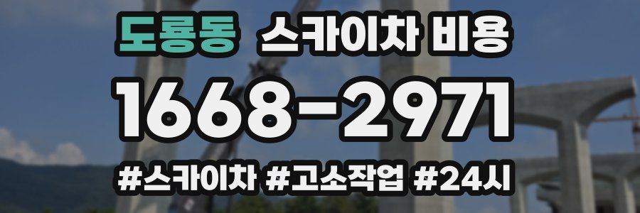 도룡동 스카이차 비용