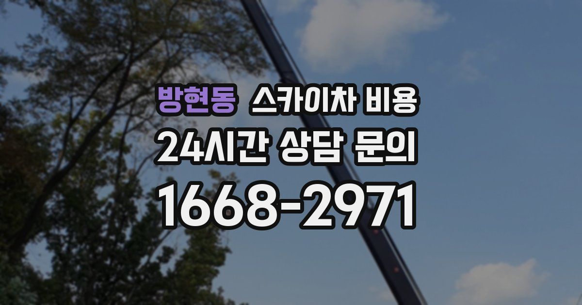 방현동 스카이차 비용