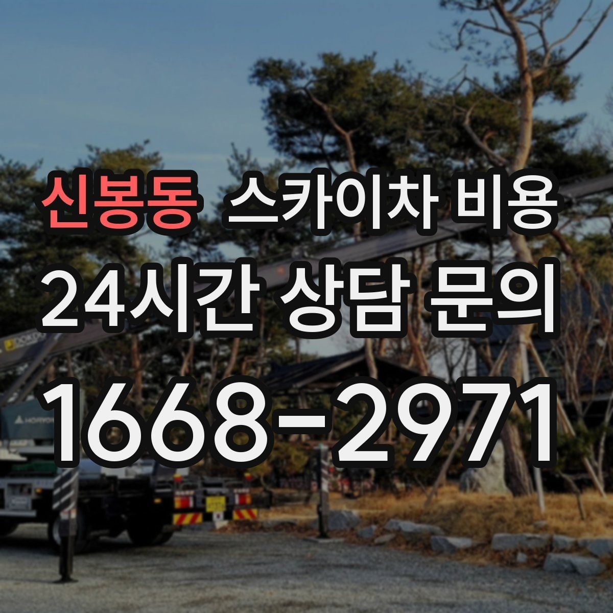 신봉동 스카이차 비용 나무 전지 작업은 작업 범위가 핵심입니다