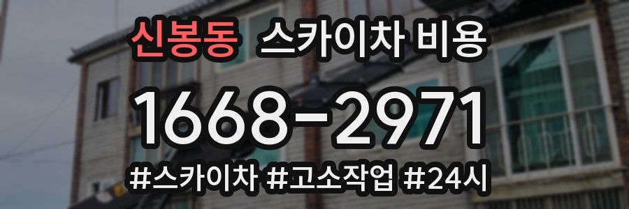 신봉동 스카이차 비용